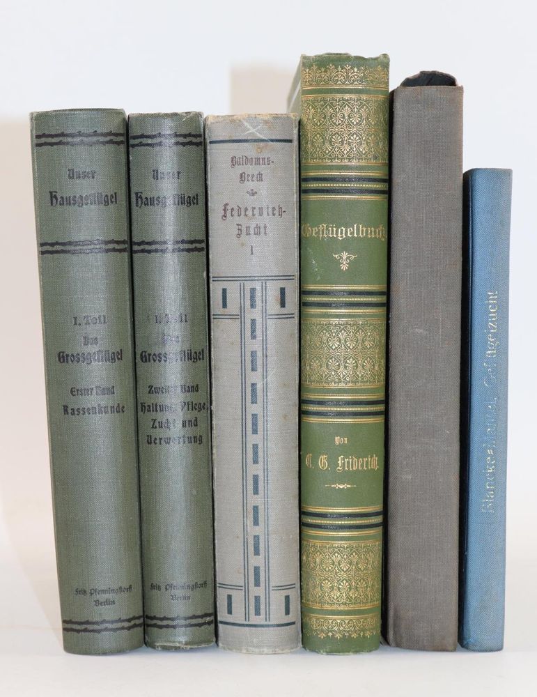 Große Abbildung Nr.2: 143-1907 Meerwarth,H. u. K.Soffel.: (Zoologie, Vögel)