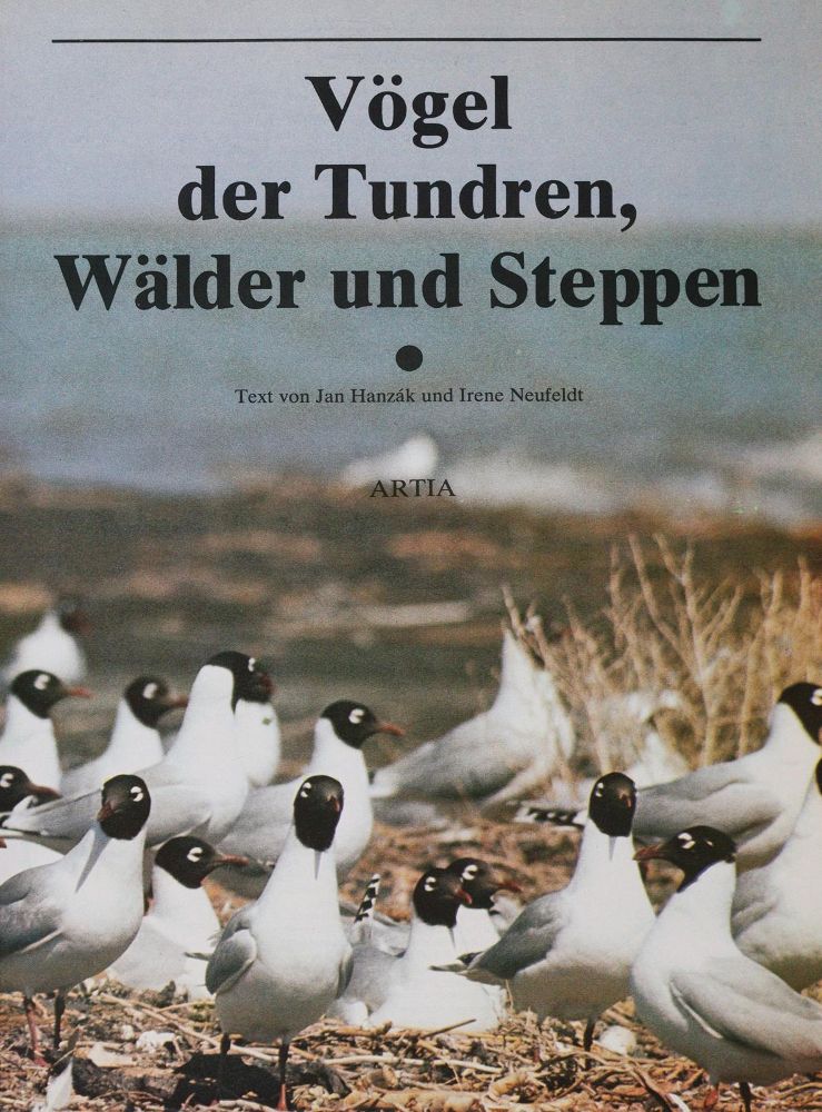 Große Abbildung Nr.1: 143-1911 Sammlung: (Zoologie, Vögel)