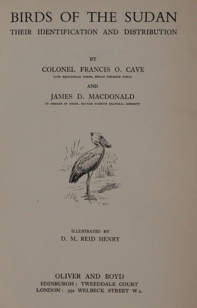 Große Abbildung Nr.1: 143-1912 Sammlung: (Zoologie, Vögel)