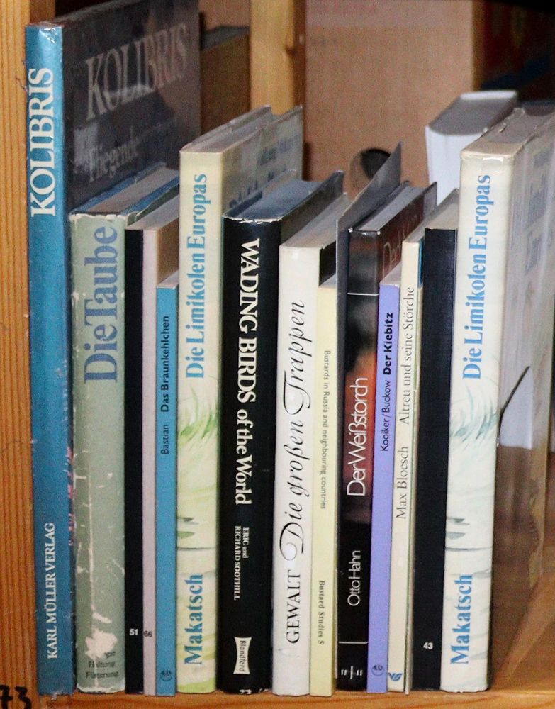 Große Abbildung Nr.51: 143-1913 Sammlung: (Zoologie, Vögel)