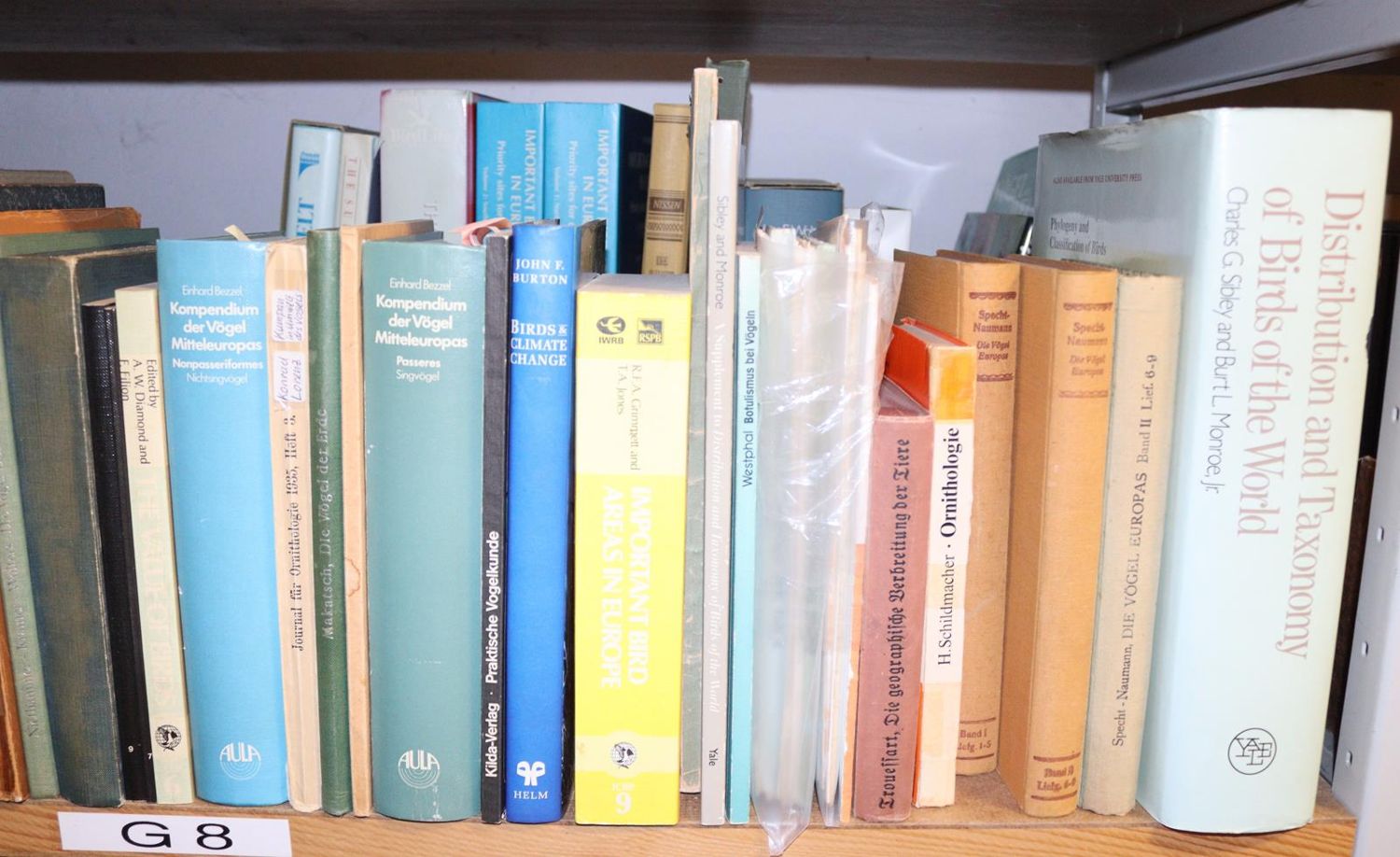 Große Abbildung Nr.7: 143-1914 Sammlung: (Zoologie, Vögel)
