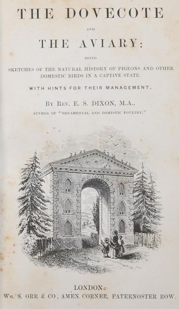 Große Abbildung Nr.1: 143-1915 Dixon,E.S.: (Zoologie, Vögel, Tauben)