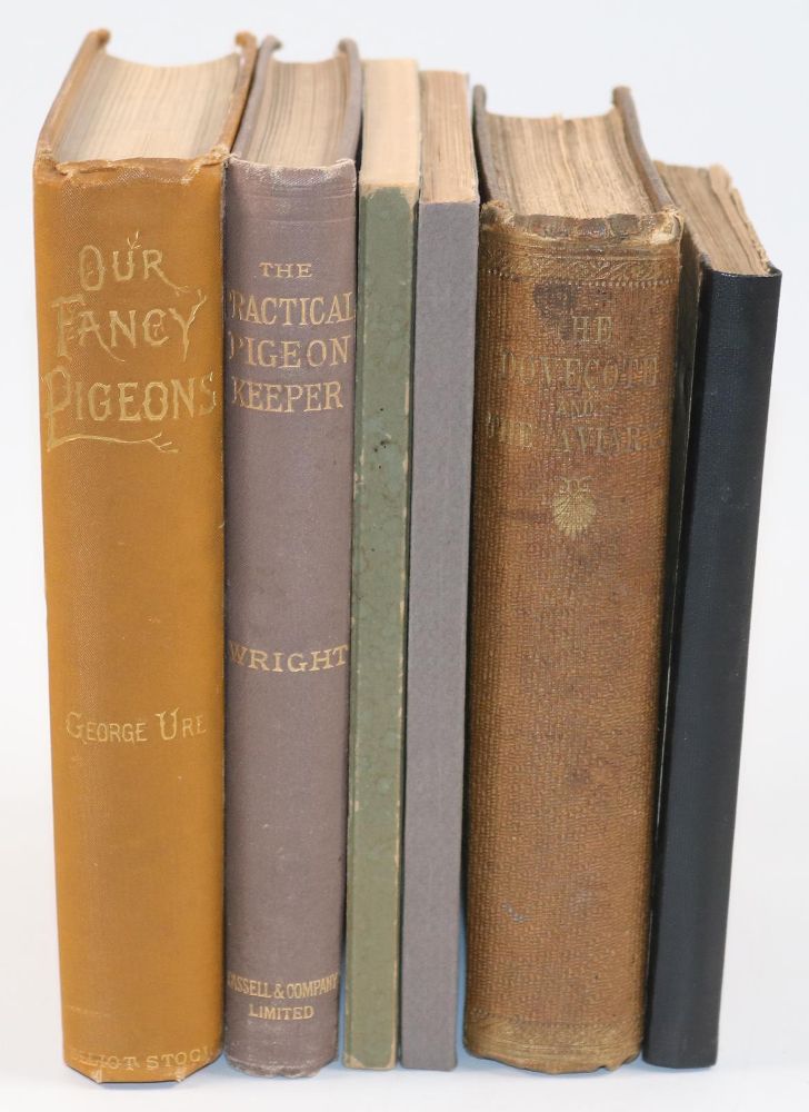 Große Abbildung Nr.3: 143-1915 Dixon,E.S.: (Zoologie, Vögel, Tauben)