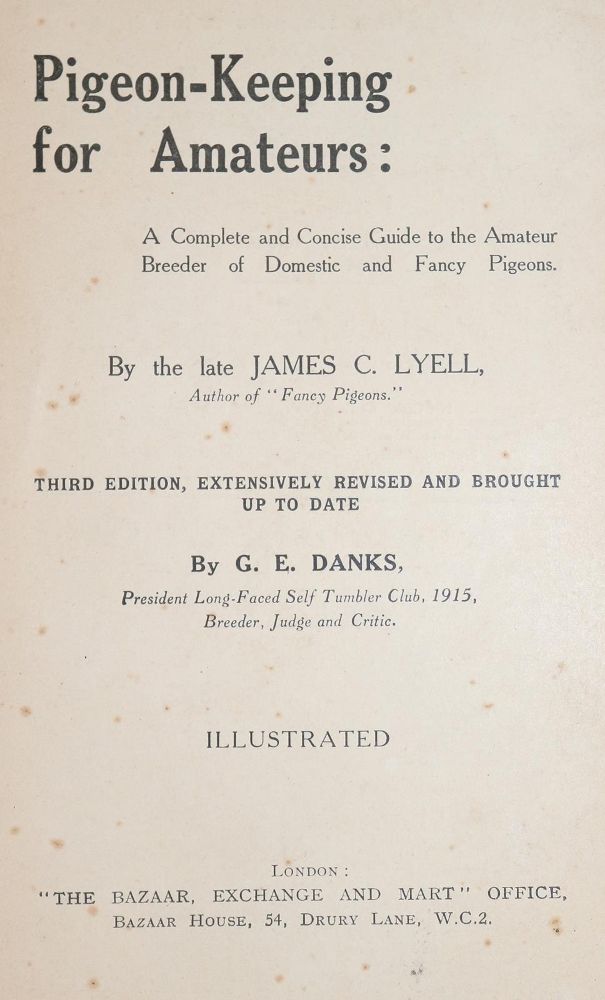 Große Abbildung Nr.5: 143-1915 Dixon,E.S.: (Zoologie, Vögel, Tauben)