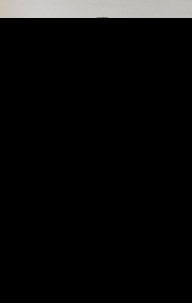 Große Abbildung Nr.2: 143-1916 Eaton,J.M.: (Zoologie, Vögel, Tauben)