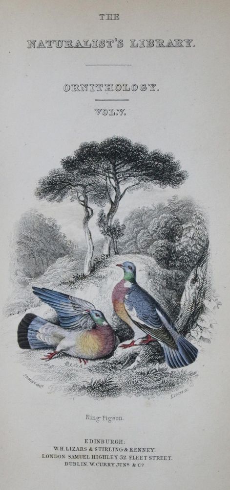 Große Abbildung Nr.2: 143-1917 Eaton,J.M.: (Zoologie, Vögel, Tauben)