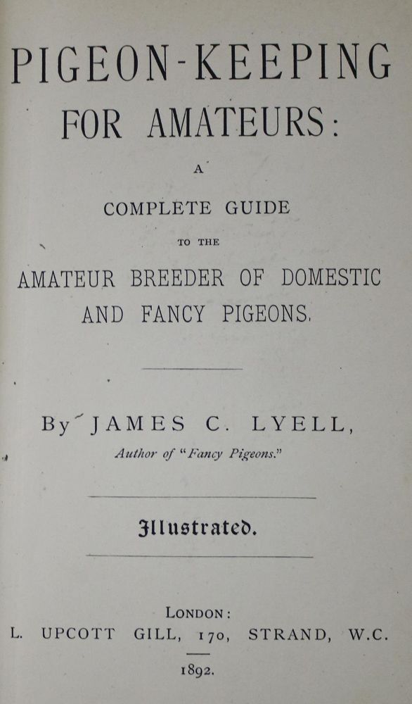 Große Abbildung Nr.5: 143-1917 Eaton,J.M.: (Zoologie, Vögel, Tauben)