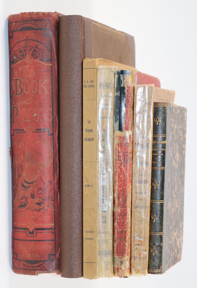 Große Abbildung Nr.3: 143-1918 Fulton,R.: (Zoologie, Vögel, Tauben)