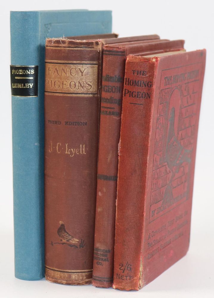 Große Abbildung Nr.2: 143-1920 Lumley,W.F.: (Zoologie, Vögel, Tauben)