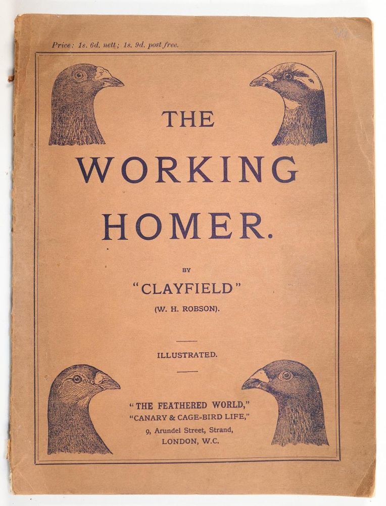 Große Abbildung Nr.3: 143-1920 Lumley,W.F.: (Zoologie, Vögel, Tauben)