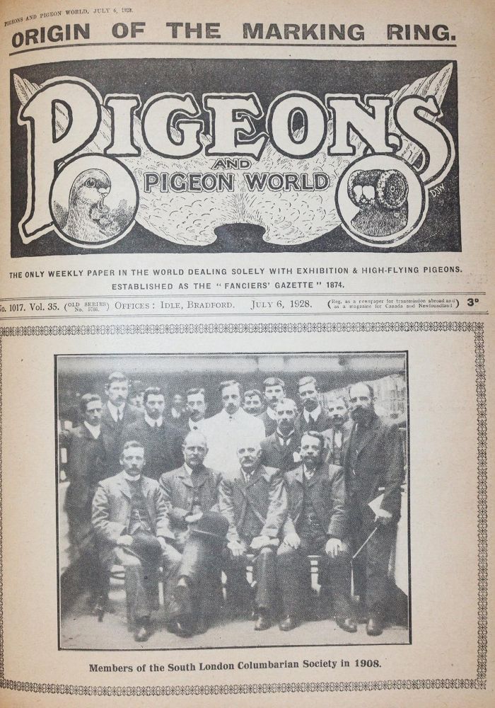 Große Abbildung Nr.3: 143-1921 Pigeons and pigeon world.: (Zoologie, Vögel, Tauben)