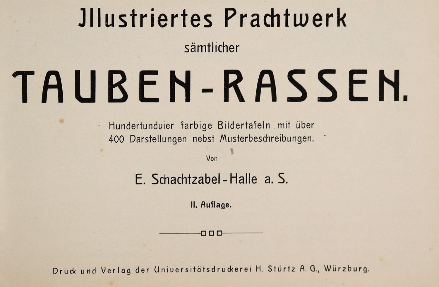 Große Abbildung Nr.1: 143-1925 Schachtzabel,E.: (Zoologie, Vögel, Tauben)