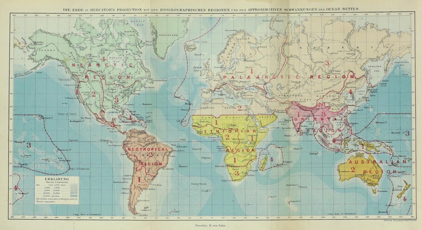 Große Abbildung Nr.7: 143-1931 Wallace,A.R.: (Zoologie)