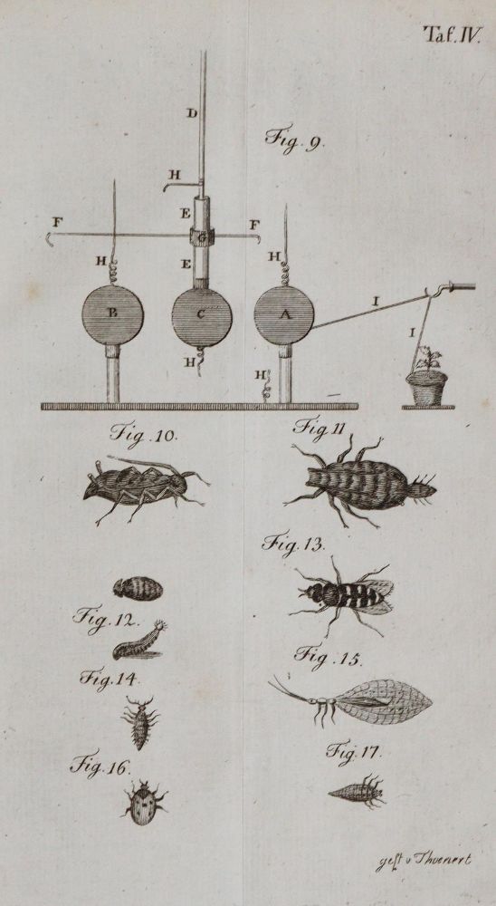 Große Abbildung Nr.2: 143-1969 Darwin,E.: (Verschiedene Gebiete - Varia)