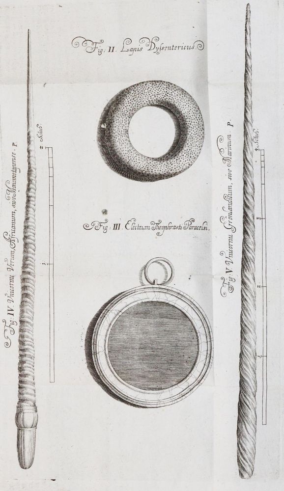 Große Abbildung Nr.2: 143-1976 Exoticophylacium Weickmannium: (Verschiedene Gebiete - Varia)