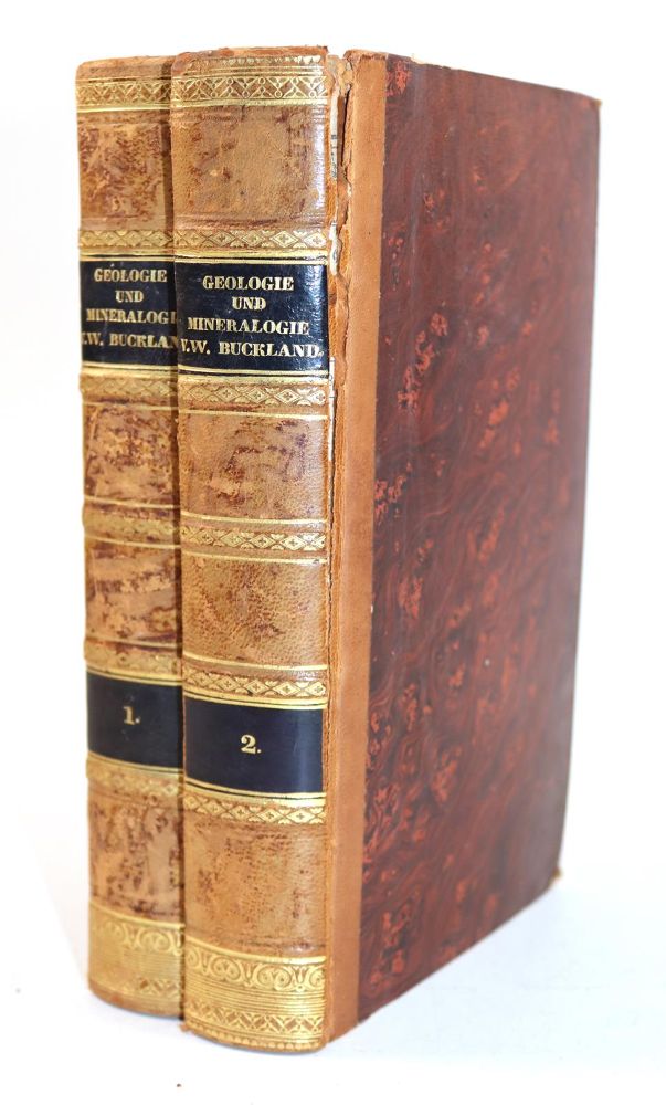 Große Abbildung Nr.6: 143-1982 Buckland,W.: (Verschiedene Gebiete - Varia, Geologie - Mineralogie u. Paläontologie)