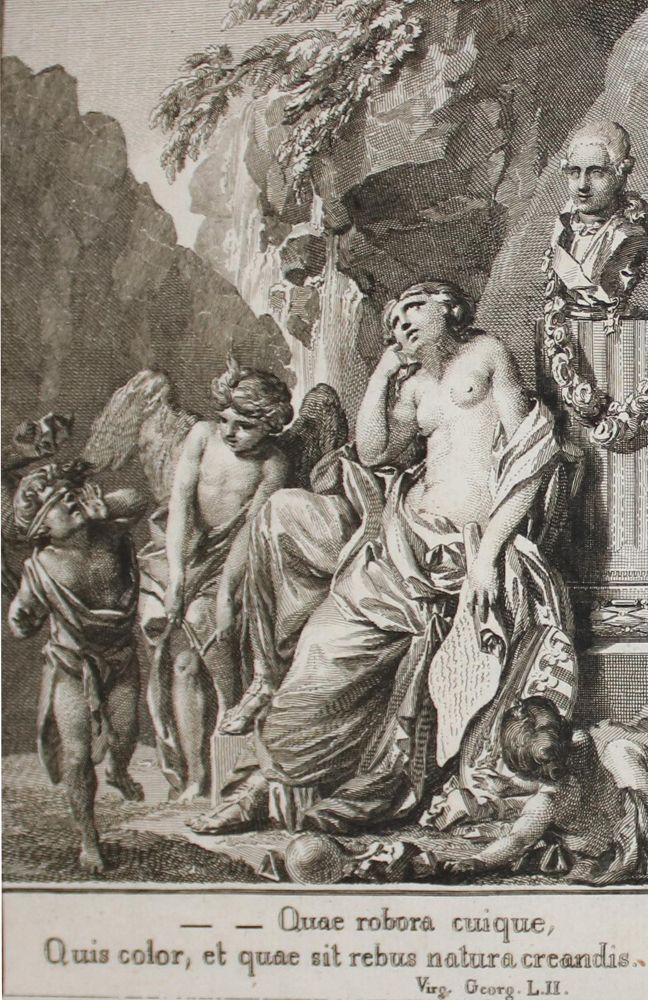 Große Abbildung Nr.2: 143-1983 Charpentier,J.F.W.v.: (Verschiedene Gebiete - Varia, Geologie - Mineralogie u. Paläontologie)
