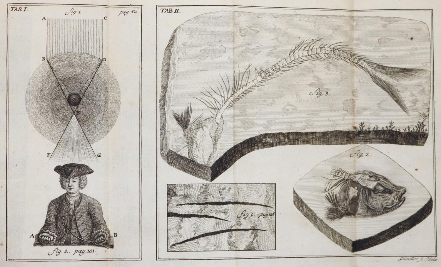 Große Abbildung Nr.2: 143-1990 Krüger,J.G.: (Verschiedene Gebiete - Varia, Geologie - Mineralogie u. Paläontologie)