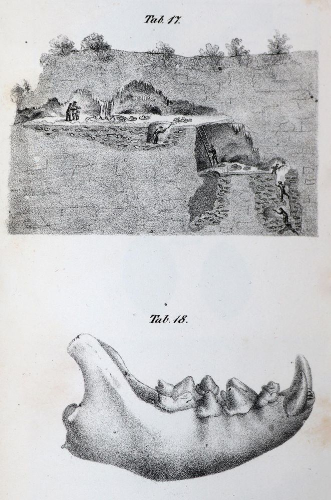 Große Abbildung Nr.4: 143-1993 Mantell,G.: (Verschiedene Gebiete - Varia, Geologie - Mineralogie u. Paläontologie)