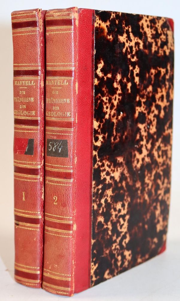 Große Abbildung Nr.6: 143-1993 Mantell,G.: (Verschiedene Gebiete - Varia, Geologie - Mineralogie u. Paläontologie)