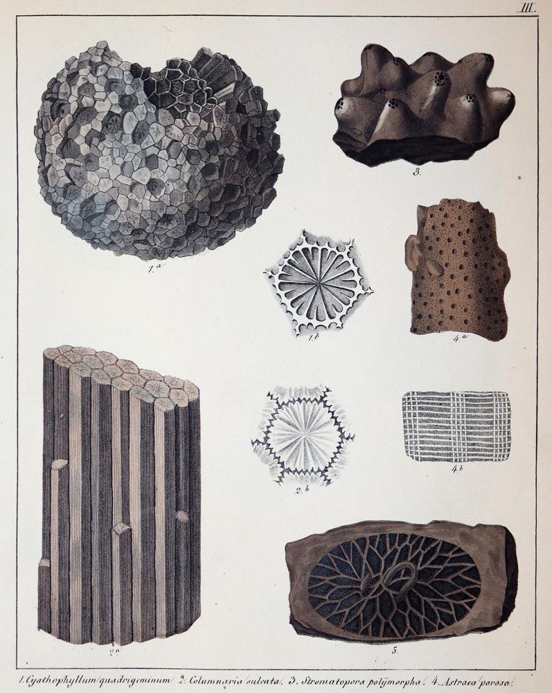 Große Abbildung Nr.2: 143-2002 Schmidt,F.A.: (Verschiedene Gebiete - Varia, Geologie - Mineralogie u. Paläontologie)