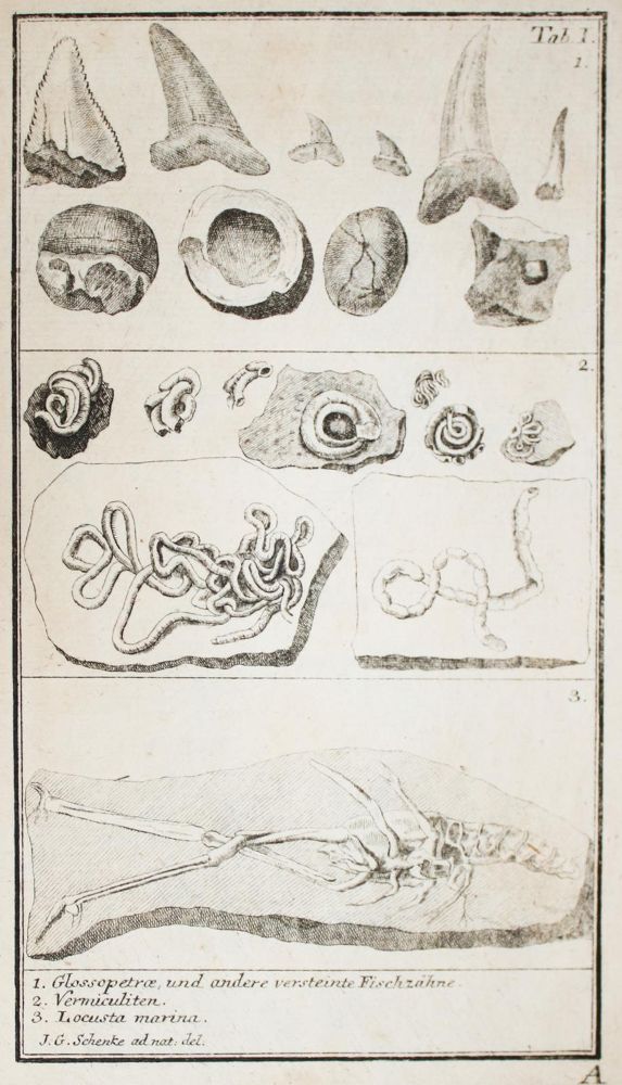 Große Abbildung Nr.3: 143-2005 Walch,J.E.I.: (Verschiedene Gebiete - Varia, Geologie - Mineralogie u. Paläontologie)