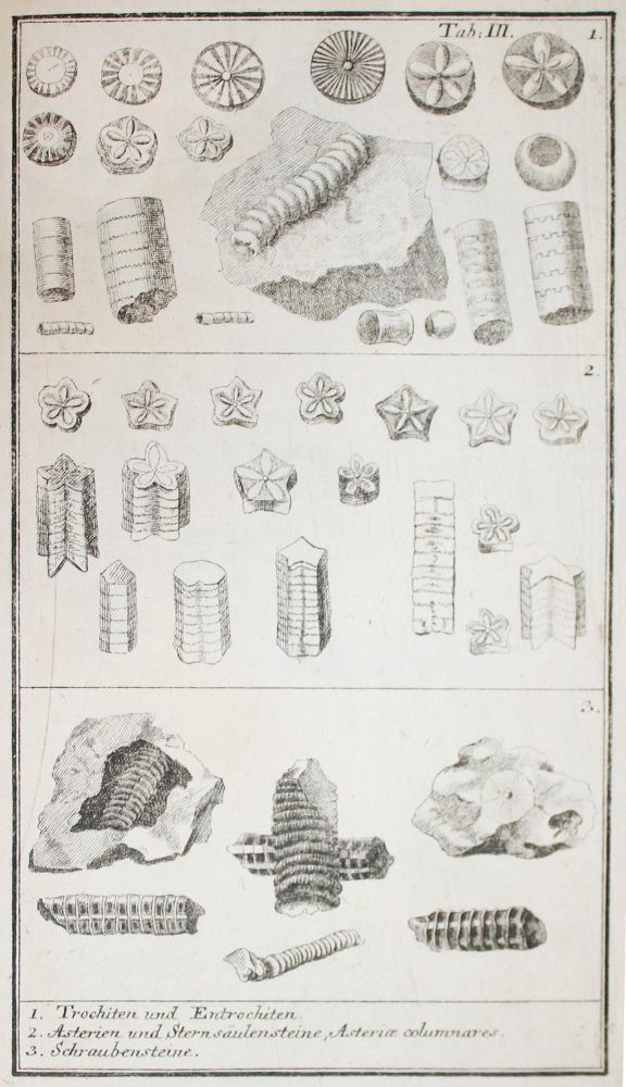 Große Abbildung Nr.4: 143-2005 Walch,J.E.I.: (Verschiedene Gebiete - Varia, Geologie - Mineralogie u. Paläontologie)