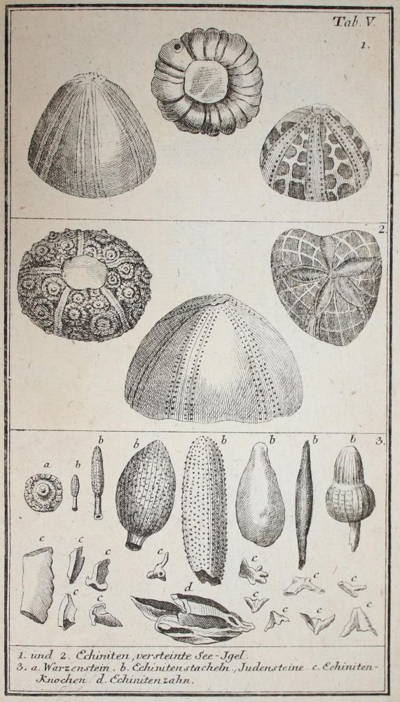Große Abbildung Nr.5: 143-2005 Walch,J.E.I.: (Verschiedene Gebiete - Varia, Geologie - Mineralogie u. Paläontologie)