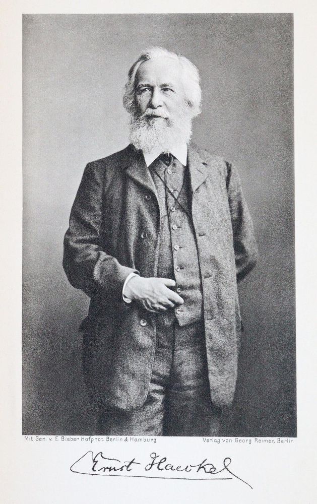Große Abbildung Nr.2: 143-2008 Haeckel,E.: (Verschiedene Gebiete - Varia)