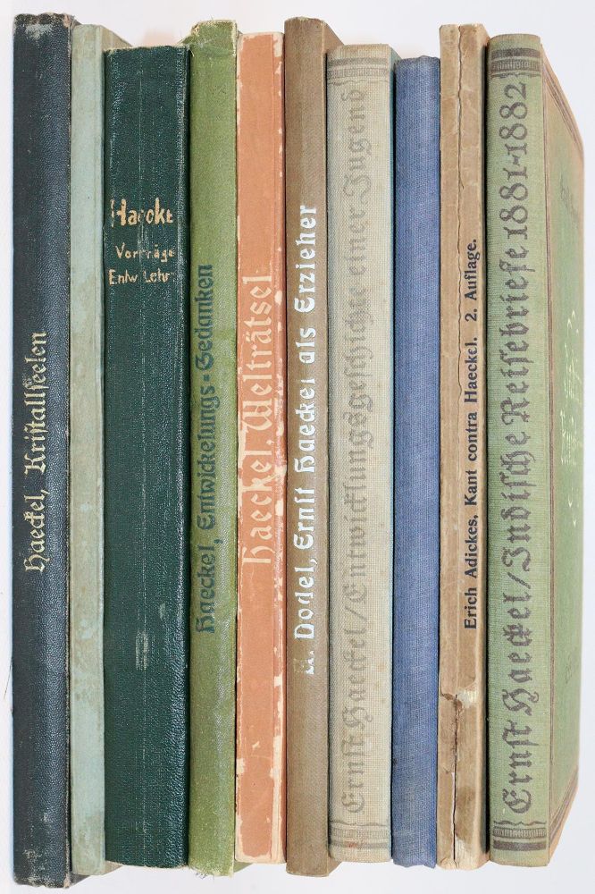 Große Abbildung Nr.5: 143-2008 Haeckel,E.: (Verschiedene Gebiete - Varia)