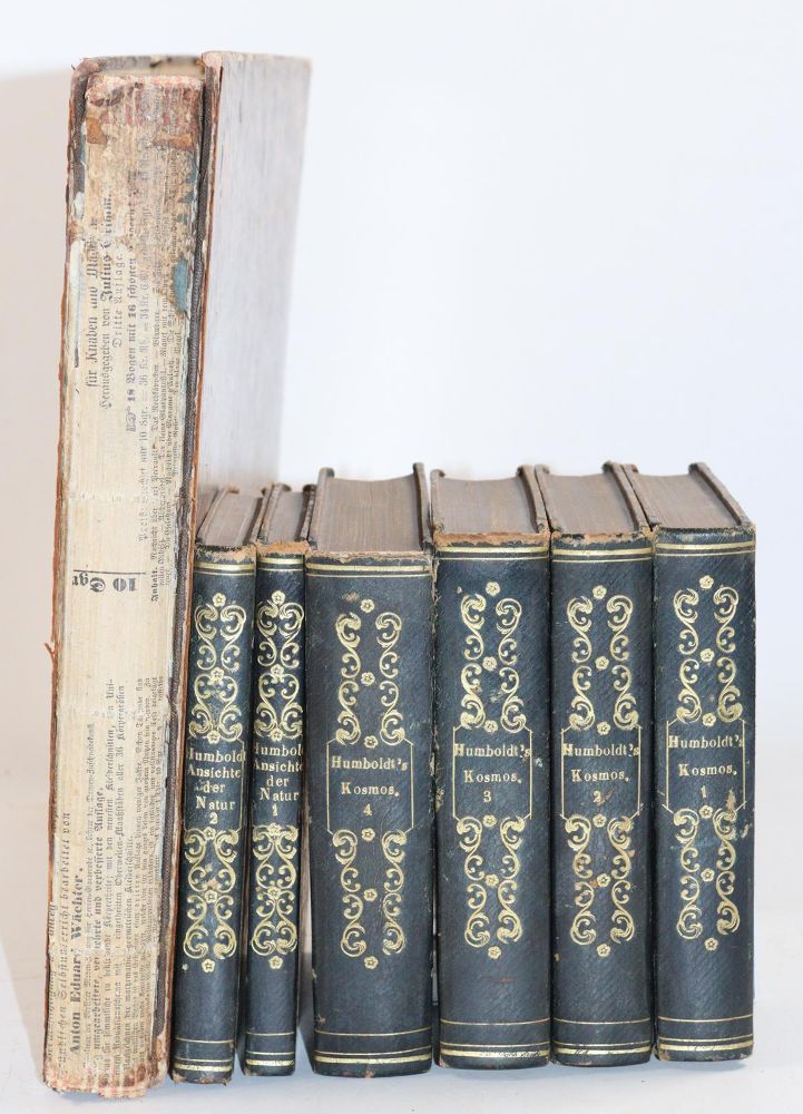 Große Abbildung Nr.12: 143-2014 Humboldt,A.v.: (Verschiedene Gebiete - Varia)