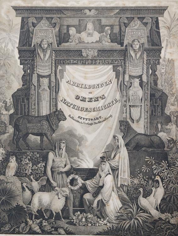 Große Abbildung Nr.1: 143-2036 Oken,L.: (Verschiedene Gebiete - Varia)