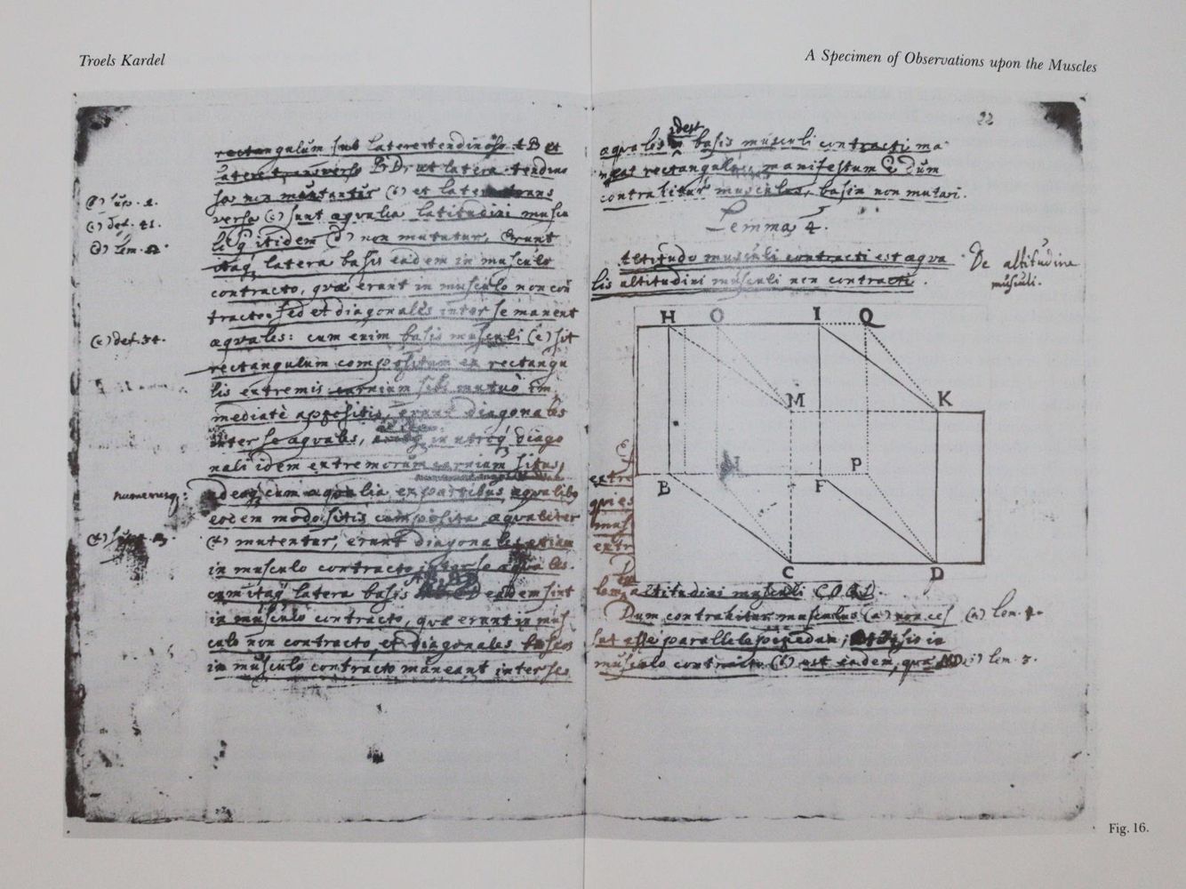 Große Abbildung Nr.4: 143-2065 Steno,N.: (Verschiedene Gebiete - Varia)