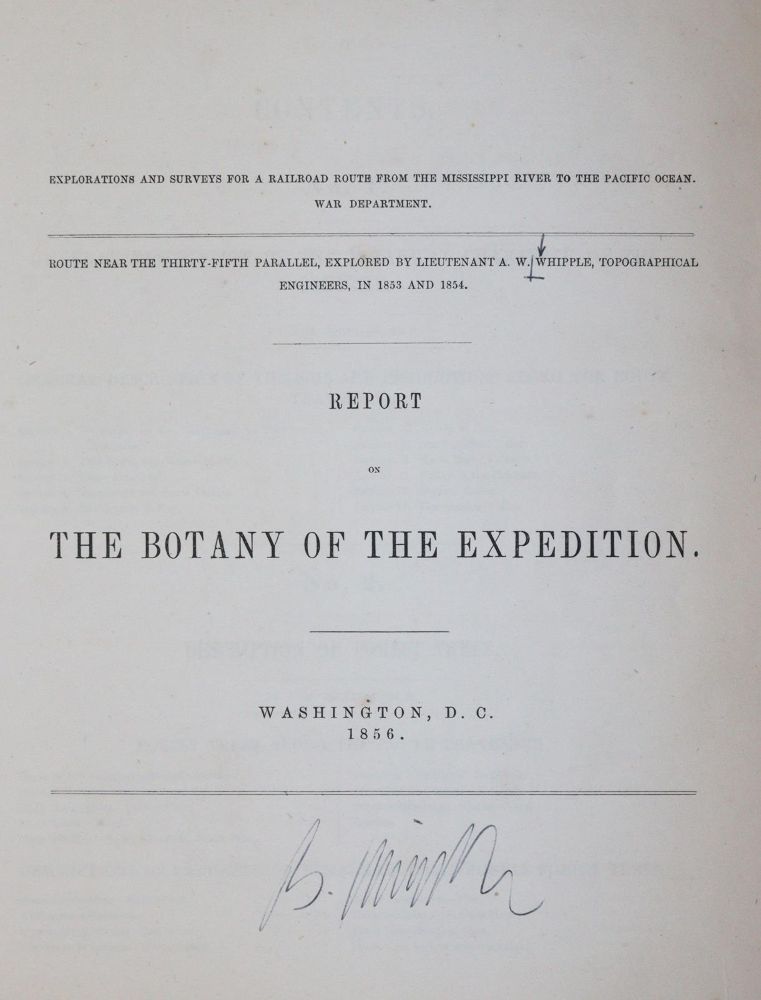 Große Abbildung Nr.4: 143-2095 Reports: (Amerika)