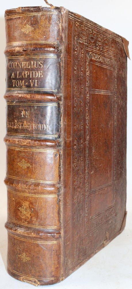 Große Abbildung Nr.2: 143-210 Lapide,C. (d.i. C.van den Steen).: (Alte Drucke, Handschriften und Theologie)