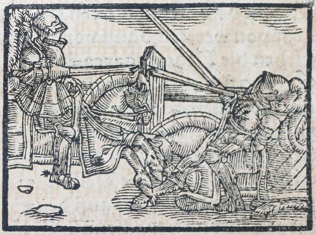 Große Abbildung Nr.2: 143-2106 Magnus,O.: (Arktis-Antarktis-Nordländer)