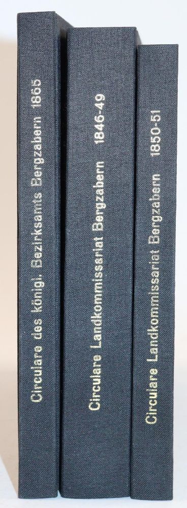 Große Abbildung Nr.3: 143-2151 Circulare: (Deutschland, Bad Bergzabern)
