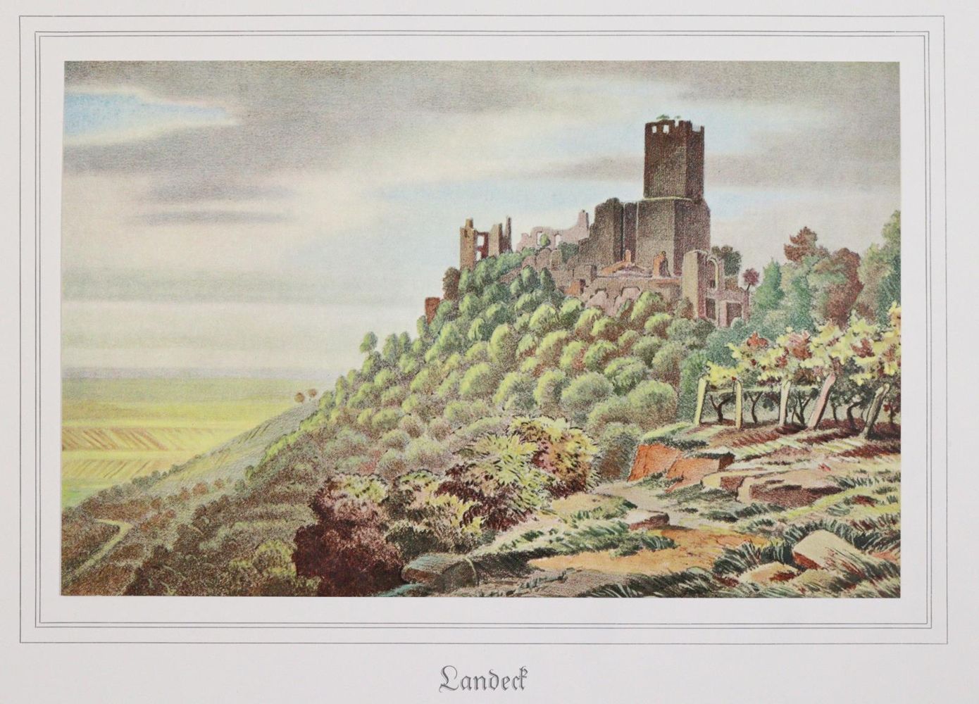 Große Abbildung Nr.5: 143-2235 Sammlung: (Deutschland, Pfalz)
