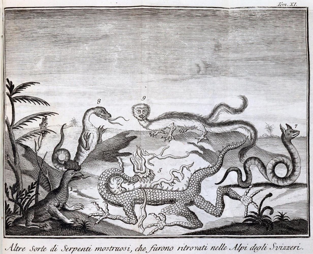 Große Abbildung Nr.3: 143-2248 (Salmon,T.).: (Deutschland)