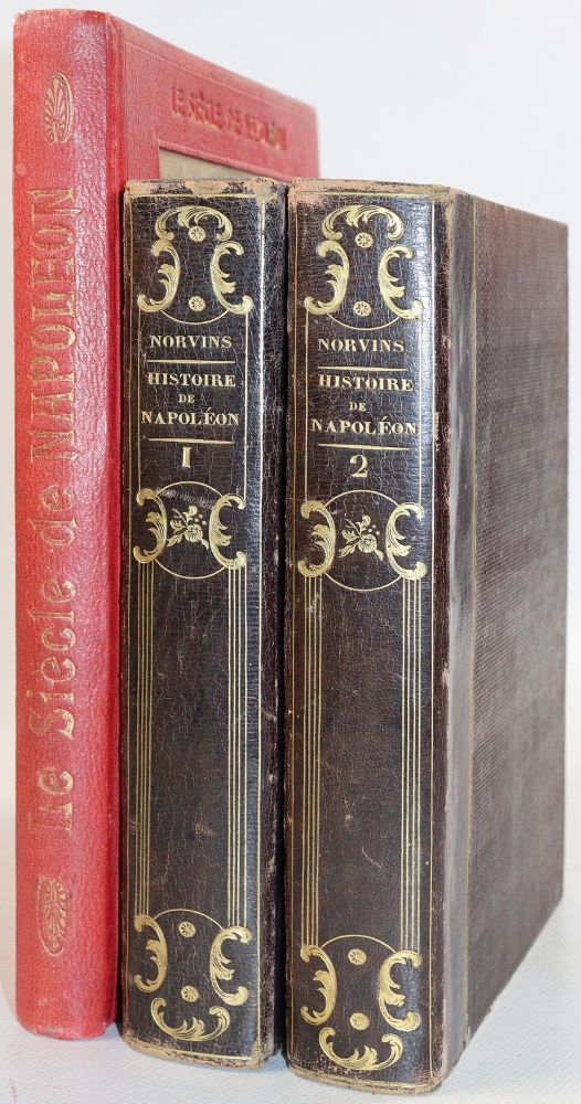 Große Abbildung Nr.4: 143-2292 Rigo,J.: (Frankreich, Napoleon)