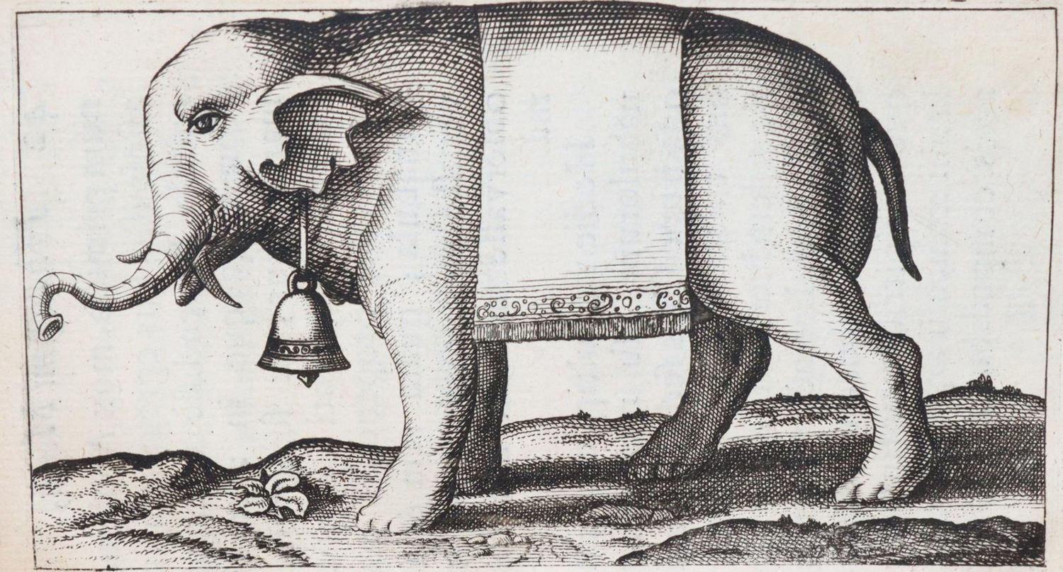 Große Abbildung Nr.2: 143-231 Maggi,G.: (Alte Drucke, Handschriften und Theologie)