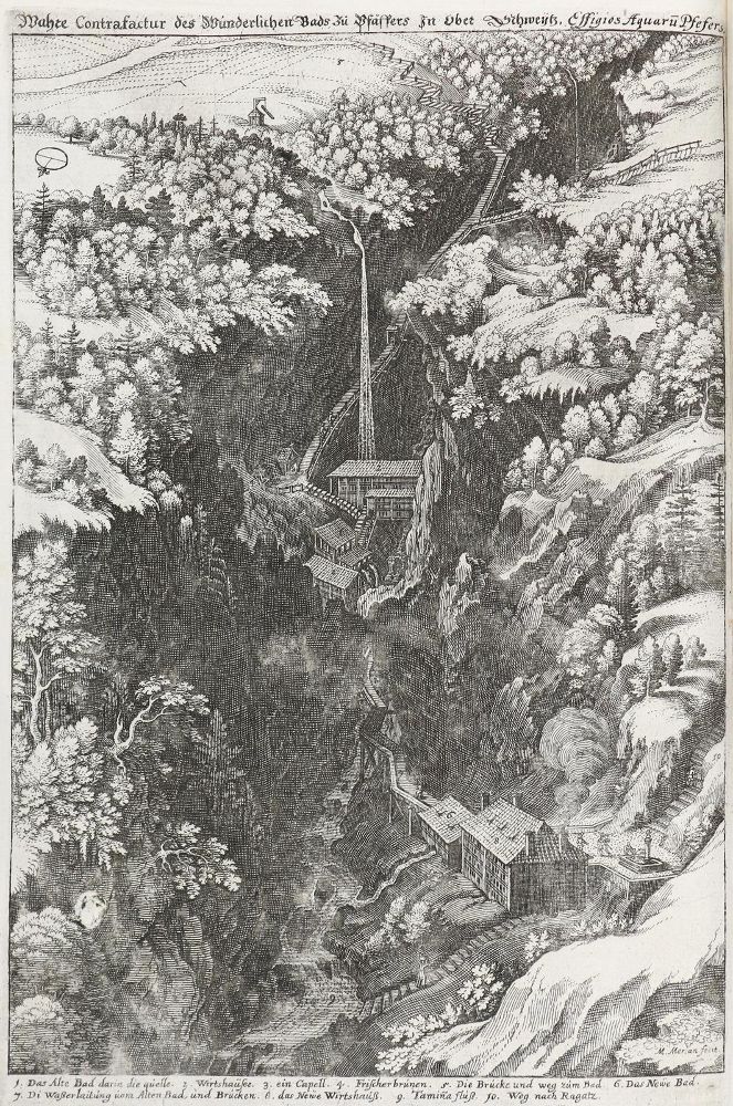 Große Abbildung Nr.2: 143-2317 Merian,M.: (Italien)