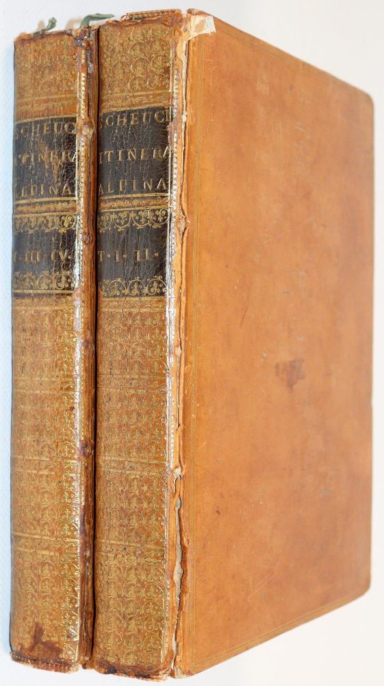 Große Abbildung Nr.4: 143-2380 Scheuchzer,J.J.: (Schweiz)