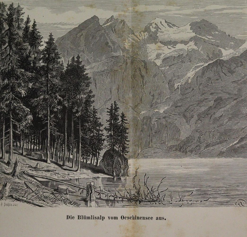 Große Abbildung Nr.4: 143-2395 Schweizer Alpenclub.: (Verschiedene Länder - Geschichte, Alpen und Alpinismus)