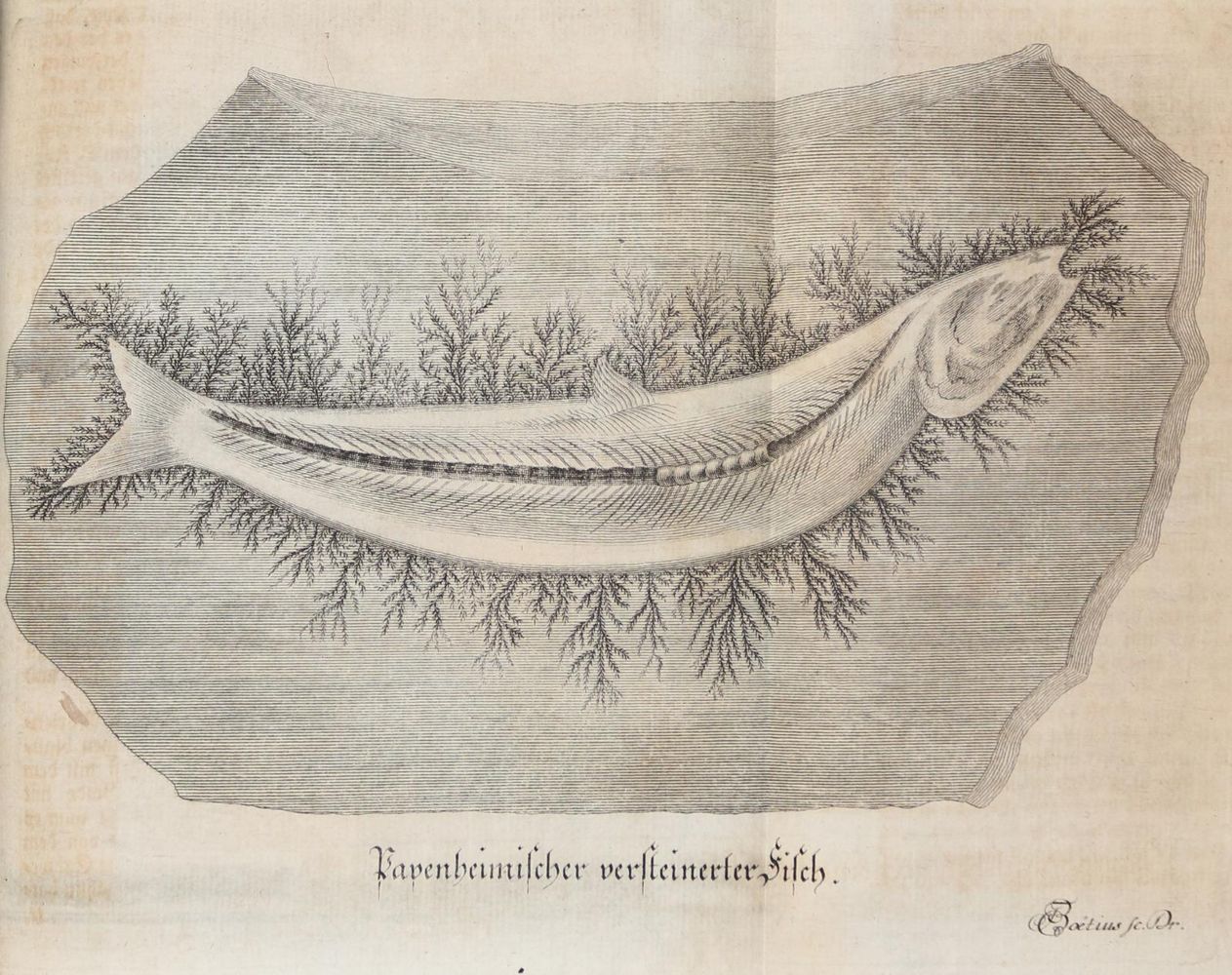 Große Abbildung Nr.4: 143-2450 Keyßler,Joh.G.: (Verschiedene Länder - Geschichte)