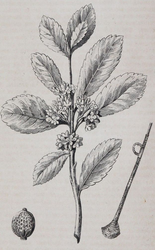 Große Abbildung Nr.4: 143-2498 Welt-Gemälde-Gallerie: (Verschiedene Länder - Geschichte)