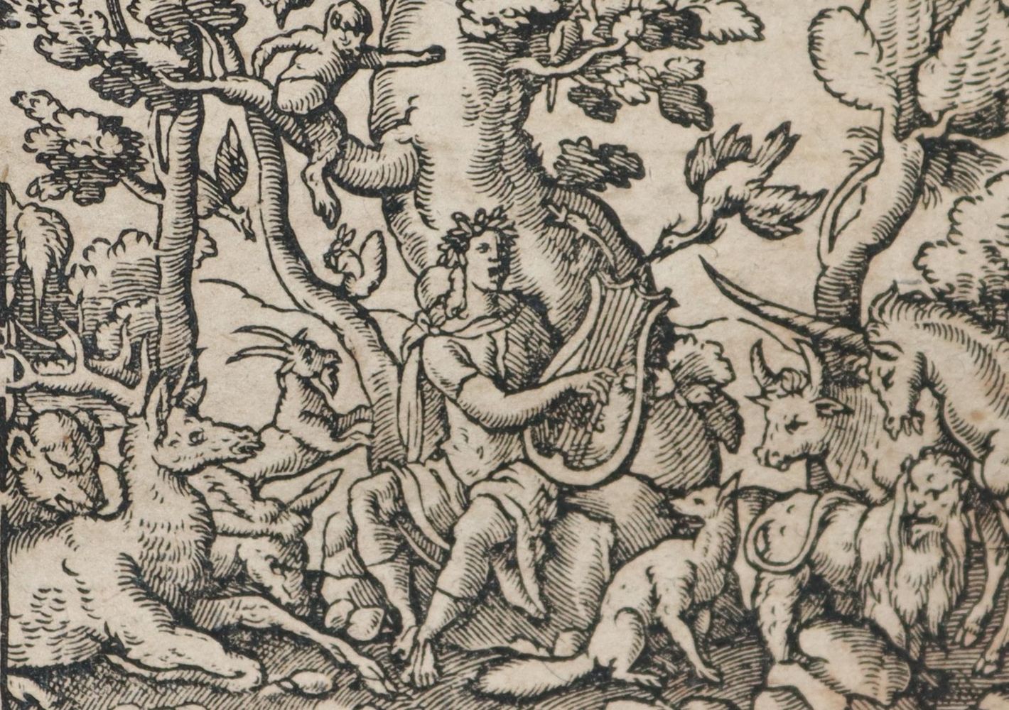 Große Abbildung Nr.6: 143-265 Ovidius,N.P.: (Alte Drucke, Handschriften und Theologie)