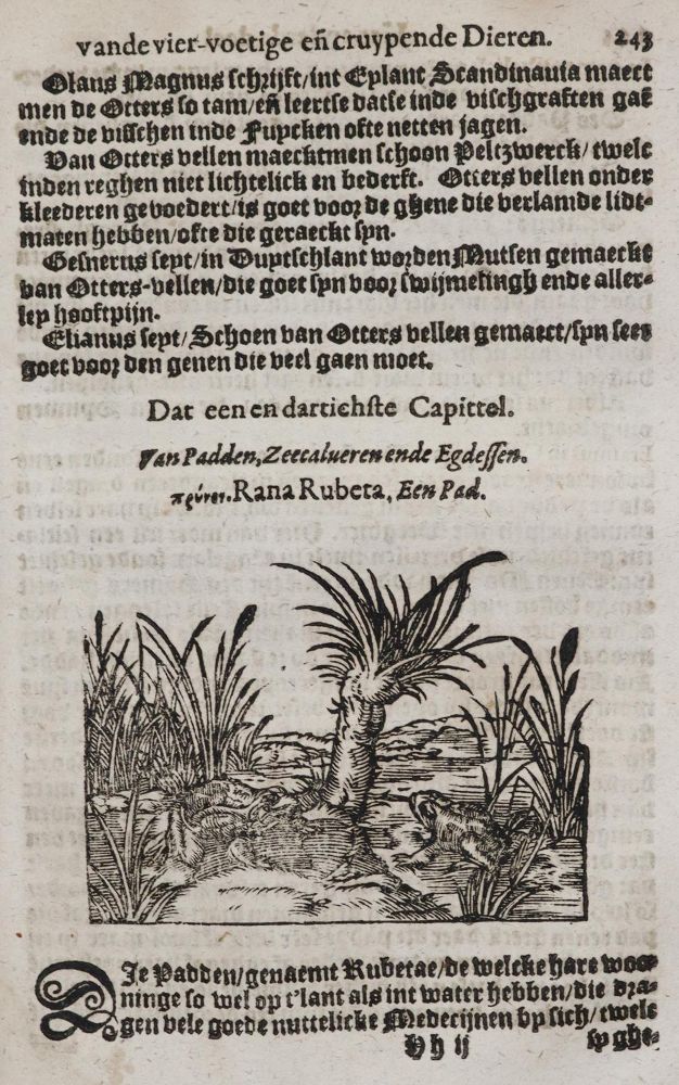Große Abbildung Nr.4: 143-275 Plinius Secundus,G.: (Alte Drucke, Handschriften und Theologie)