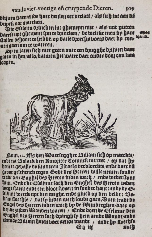 Große Abbildung Nr.5: 143-275 Plinius Secundus,G.: (Alte Drucke, Handschriften und Theologie)