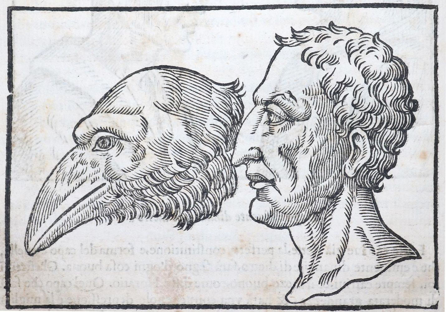 Große Abbildung Nr.2: 143-278 Porta,G.B.dalla.: (Alte Drucke, Handschriften und Theologie)